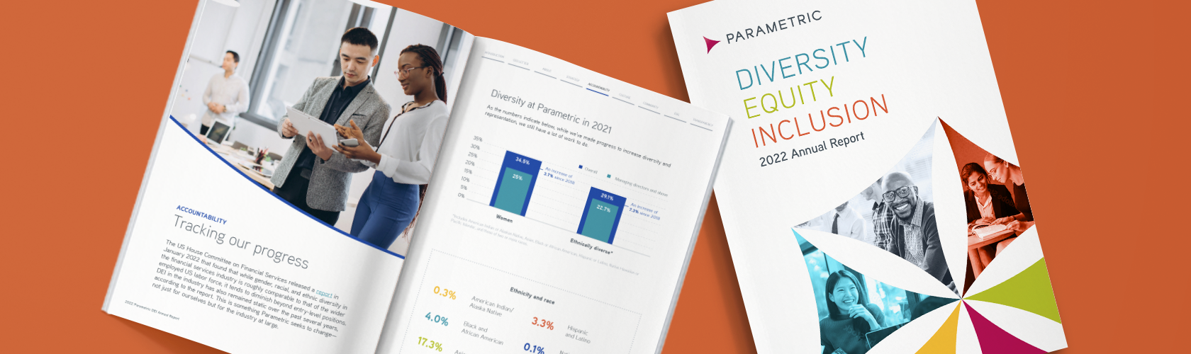 DEI Annual Report Mockup