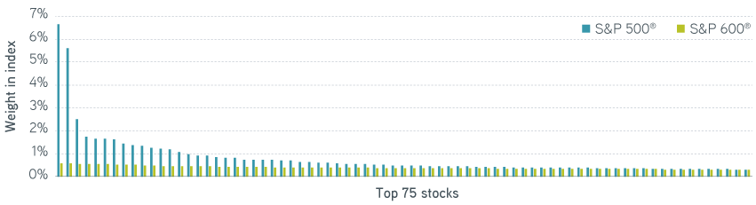 Bar graph of the top 75 stocks of the S&P 500 and S&P 600 compared to their weight in the index.