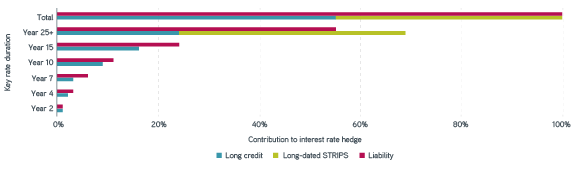 Bar graph illustrating the allocations of long credit and STRIPS creating an ‘over-hedge’ at the long end.