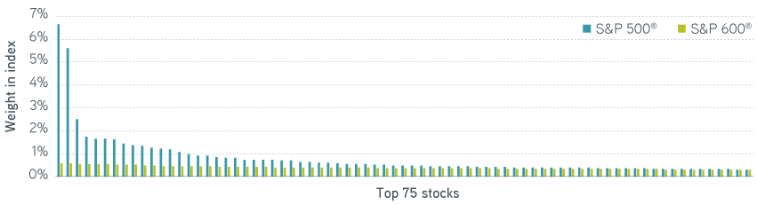 Bar graph of the top 75 stocks of the S&P 500 and S&P 600 compared to their weight in the index.