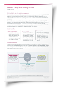 LDI Solutions Strategy Overview Mockup