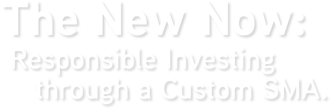the new now esg investing