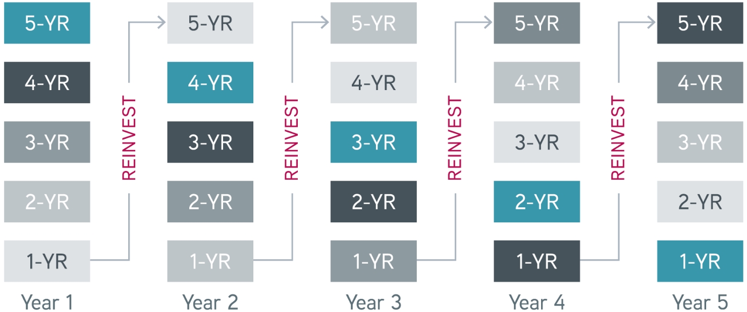 ladder graphic