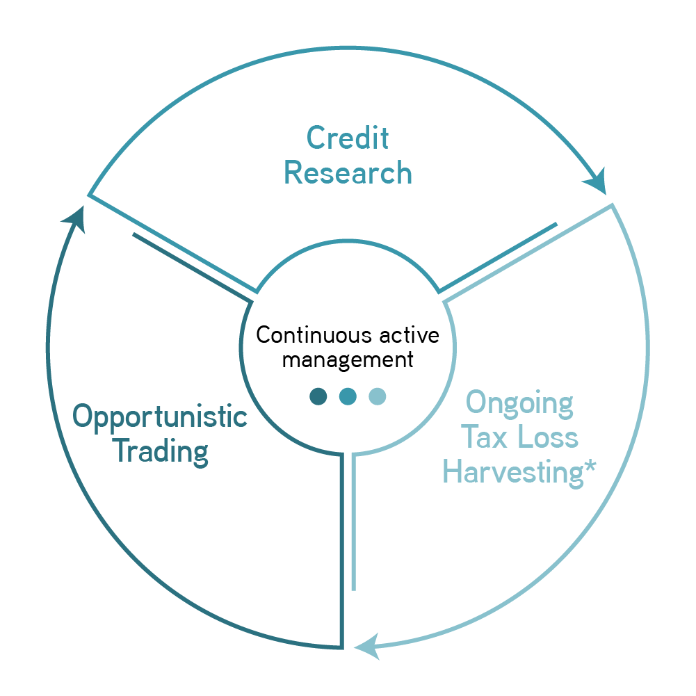 Continuous Active Management wheel graphic